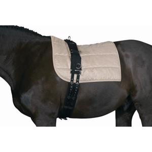 Cheval longerings- og k�regjord