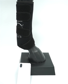 Equine LTS Tendon Boot