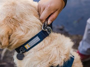 Ruffwear Front Range Halsbånd Grå