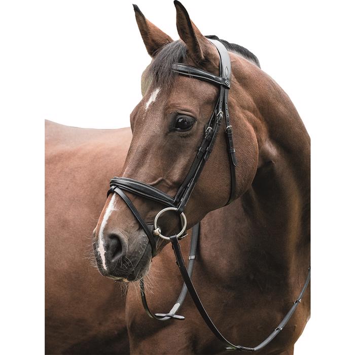 Horse Guard trense med Aachner næsebånd - sort