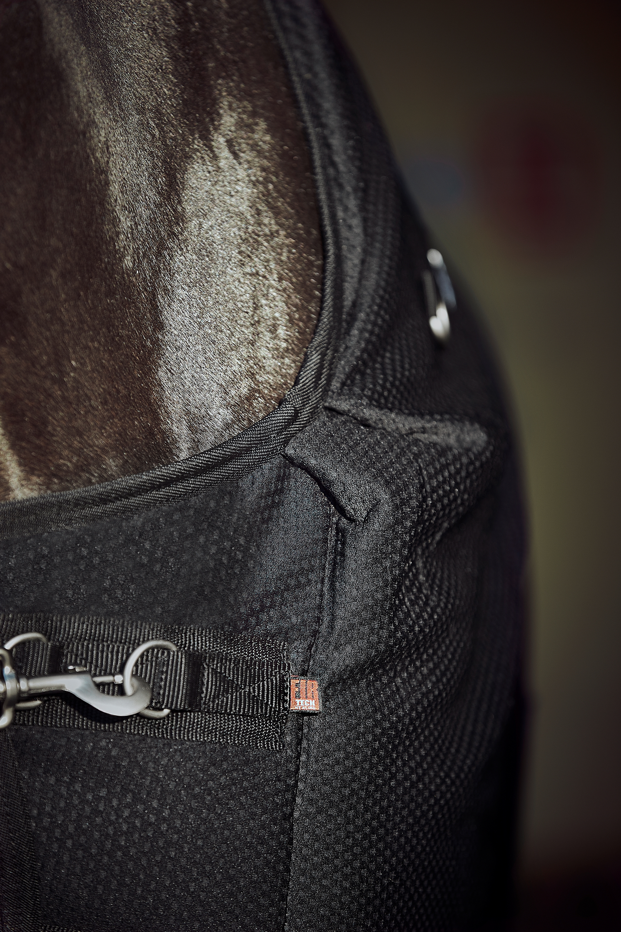 Couverture D’extérieur Pour Cheval CATAGO FIR-Tech Healing, 150 G – Noir