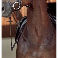 Horse Guard Rundsyet Supergrip Tøjle