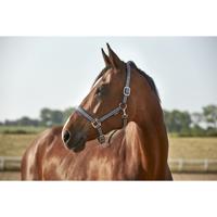 Horse Guard Hip Grime - Navy