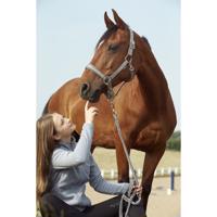 Horse Guard Hip Grime - Smoked Pearl