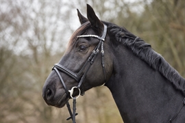 Horse Guard Emi 22,1 Trense - Sort