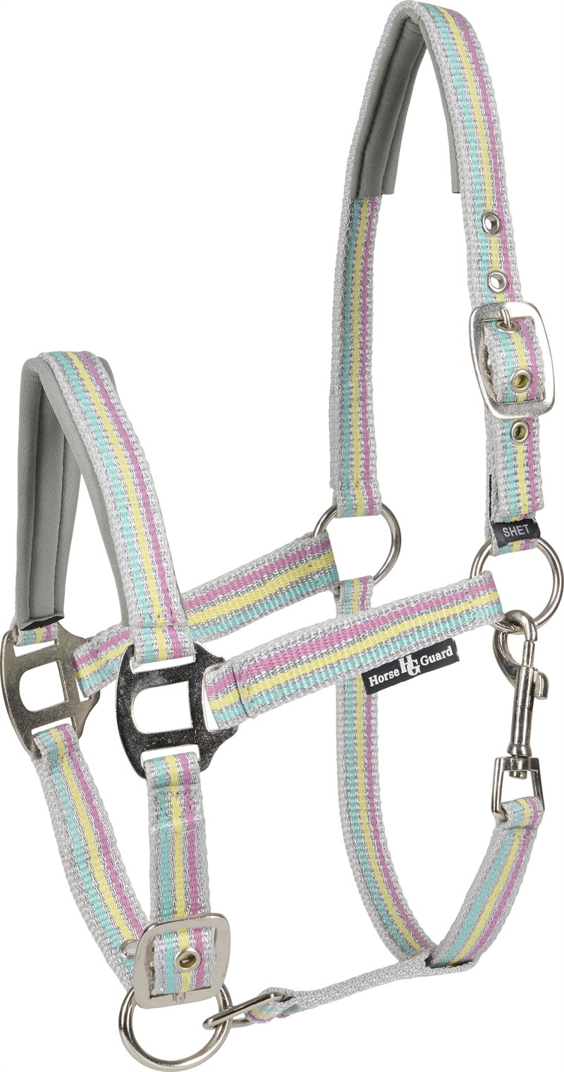 Horse Guard Kasia Grime - Rainbow