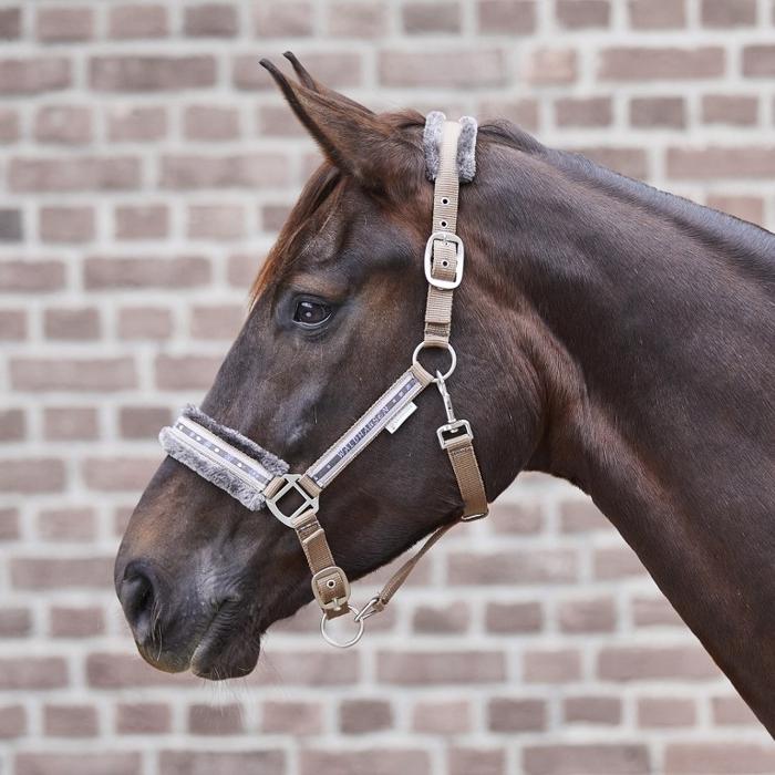 Waldhausen Elegant Grime - Camel