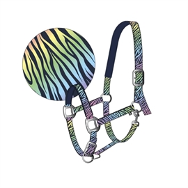 Horse Guard Maddie Grime - Rainbow