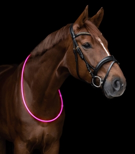 Waldhausen LED Halsring til heste - Pink