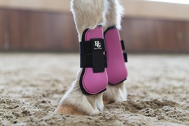 HorseGuard Timian Springgamacher - Phlox Pink