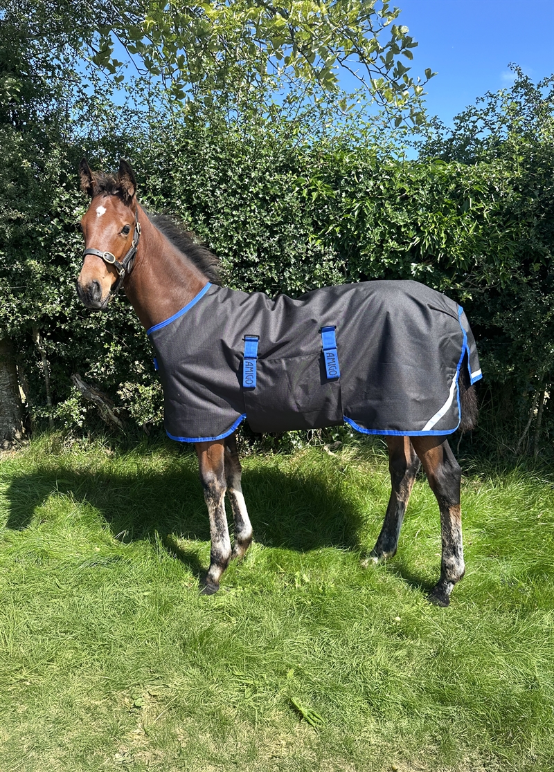 Amigo Føldækken 900D - 50 G. - Black/Classic Blue 