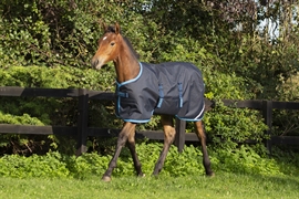 Amigo Foal Rug 200 G. - Navy/Elec. Blue