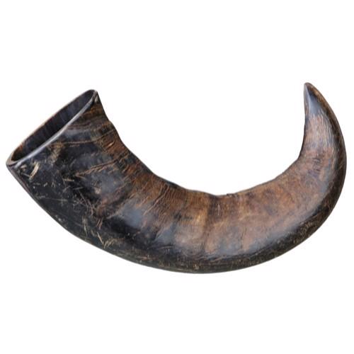 Treateaters Buffalo Horn - L - 200-300g.