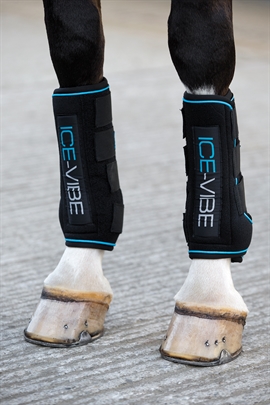 Horseware Ice Vibe Gamacher