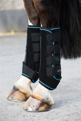 Horseware Ice Vibe Gamacher