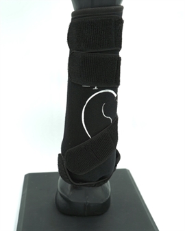 Equine LTS Tendon Boot