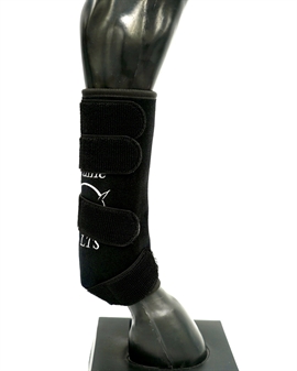 Equine LTS Tendon Boot