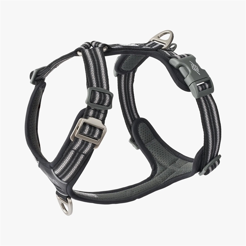 Dog Copenhagen Comfort Walk Air™ Sele - Black