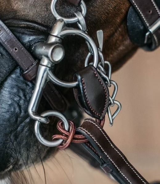 Dy\'on Short Pelham Strop - Deltastrop