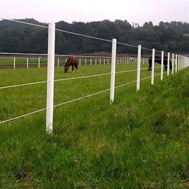 El-hegnspæl EquiSafe 65 mm - 180 cm | Hvid 