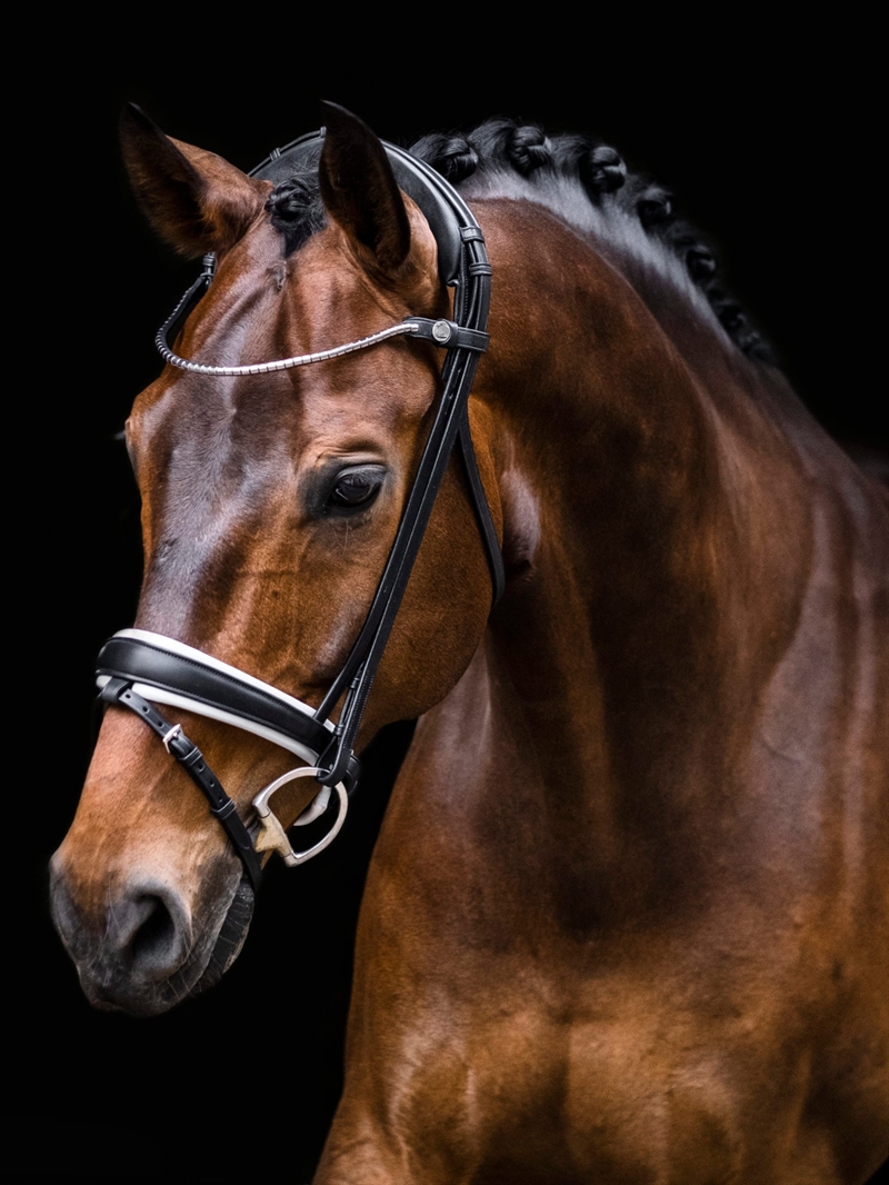 Finesse Cayenne Flat Trense - Sort/Hvid