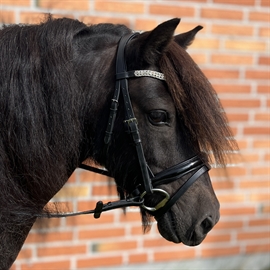 ByWeber Glory shetlænder trense med klare krystaller og lak næsebånd.