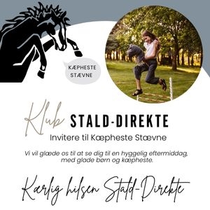 Stald-Direktes DM for Kæpheste stævne i Randbøl - S2-klasse 2 - 2er ponyer 11-12 år : 40 cm 