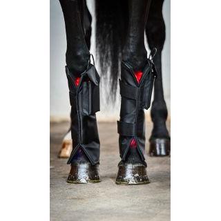 Equine LTS Limited Edition
