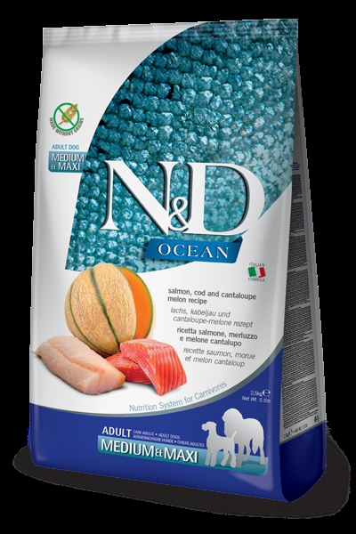 N&D Ocean Salmon, Codfish & Cantaloup melon - Medium & Maxi adult - 12 KG - Hundefoder