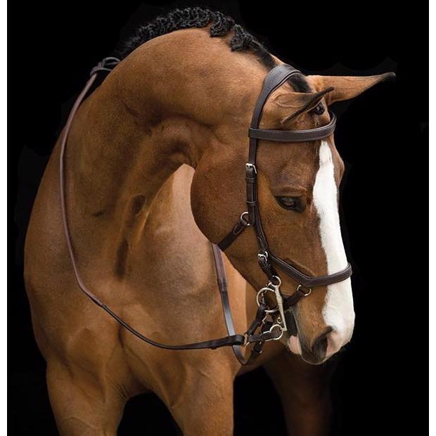 Rambo Micklem Competition Briddle