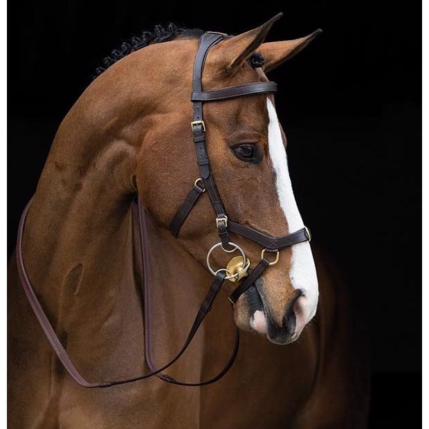 Rambo Micklem Multibridle