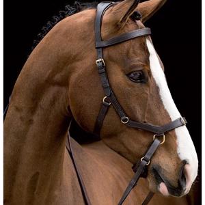 Rambo Micklem Multibridle