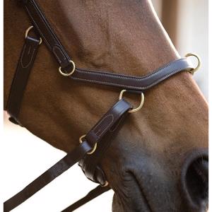 Rambo Micklem Multibridle