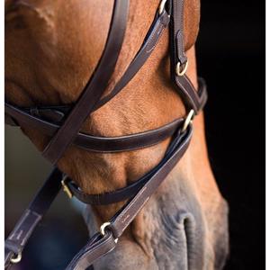Rambo Micklem Multibridle