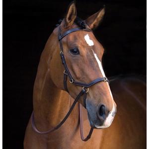 Rambo Micklem Multibridle