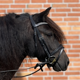 ByWeber Sheik trense til shetlandsponyer