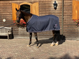 Kingsland Classic Fleece Show Rug - Navy