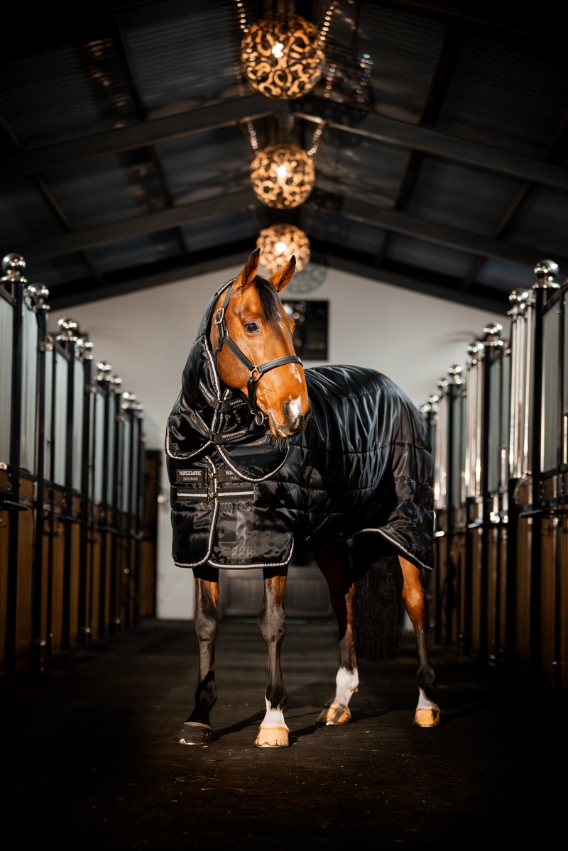 Horseware Easy-Layer Liner & Stalddækken Plus - 400 G.