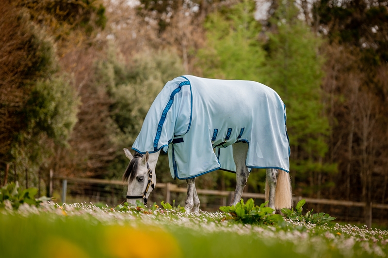 Amigo Bug Buster - Azure Blue