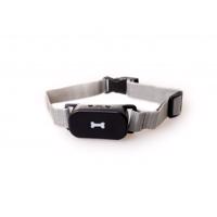 Active Canis No bark collar - Flere størrelser