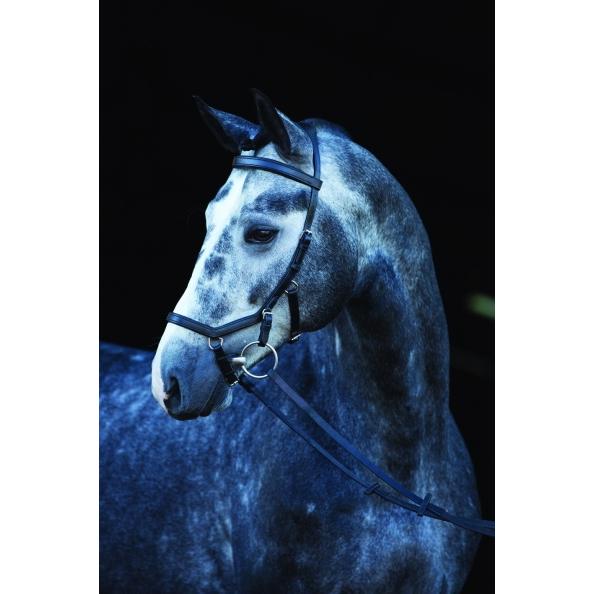 Rambo Micklem Competition Briddle