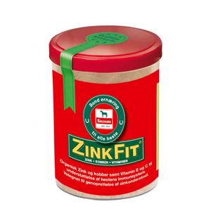 Salvana Zink Fit